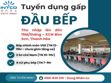 4 TUYỂN DỤNG BẾP CHÍNH, BẾP PHỤ VÀ SƠ CHẾ LÀM VIỆC TẠI INTCO THANH HOÁ