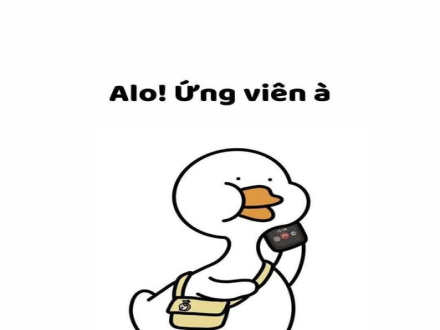 4 TUYỂN DỤNG KẾ TOÁN NỘI BỘ LÀM VIỆC TẠI CÔNG TY SCONNECT VIỆT NAM